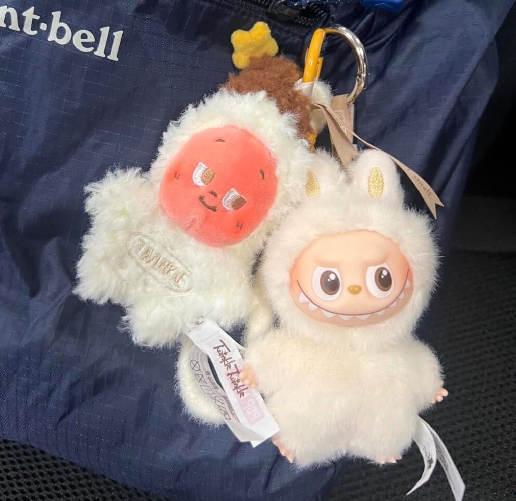 A picture of Labubu and Twinkle Twinkle side by side