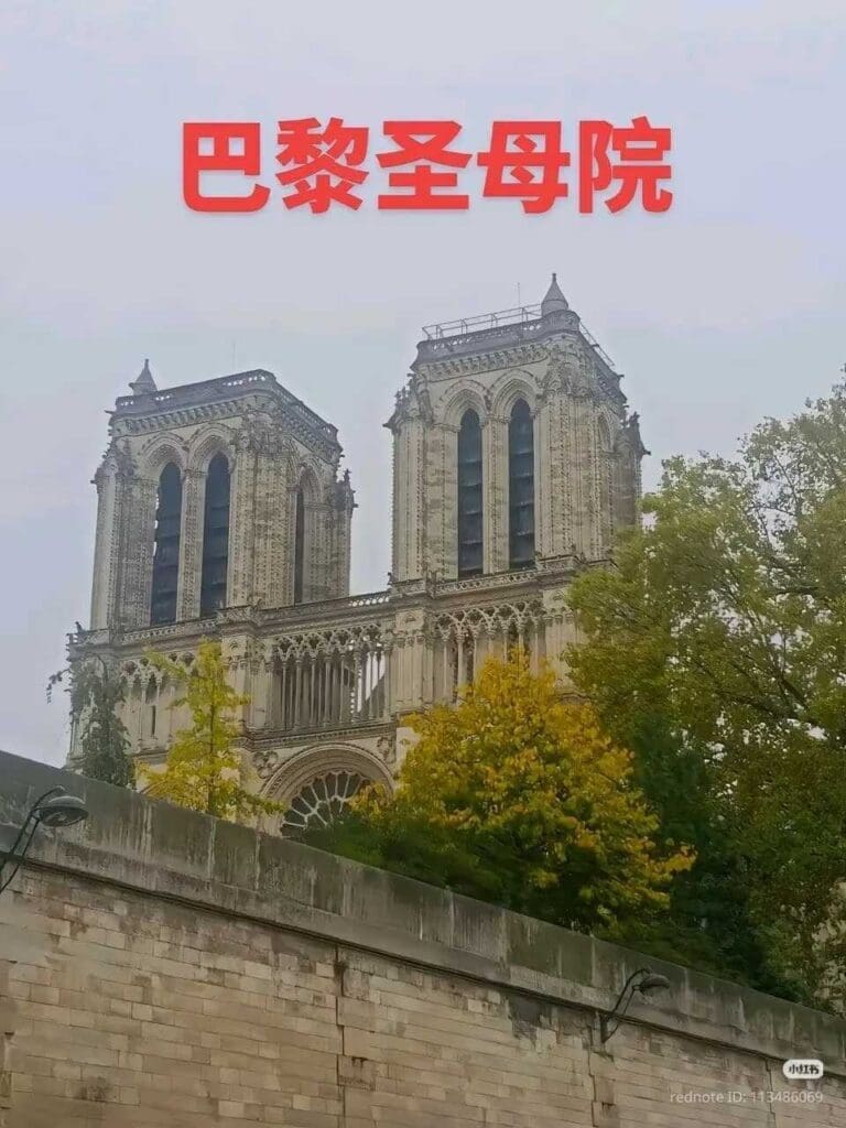 photo of paris expectations vs reality